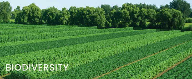 Biodiversity